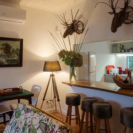 View House Kır Evi